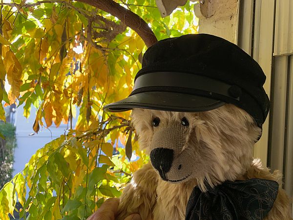 Bertie wearing his Steam Engine driver's 'at.