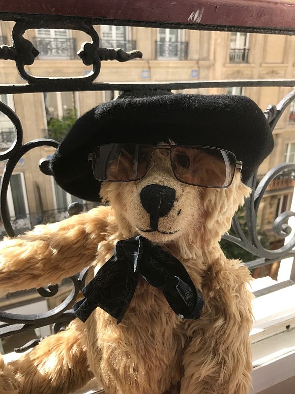 Bertie wearing a cap and sun glasses in the window of a French hotel.