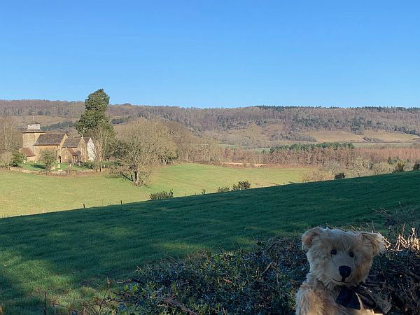 Bertie in the bottom right hand corner, with Wotton Church in the background.