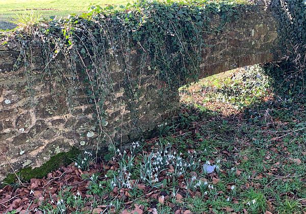 A stone wall with what looks like the top of an old window or door, but the ground level must have gone up over time.