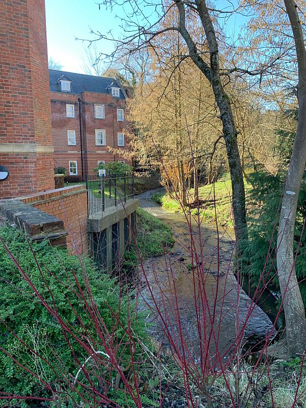 The River Tillingbourne flows through Wotton. From Iron hammer mills to Watercress. To gunpowder. And the Teddy Bears' Picnic.