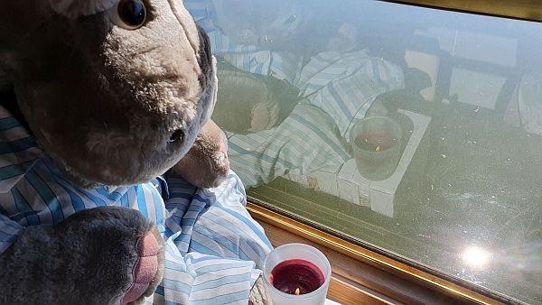 Henry the Hippo with a candle lit for Diddley at the window looking onto the canal.