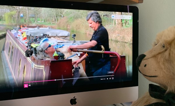 Tim, Tracey and Guide Dog Loki on The One Show.