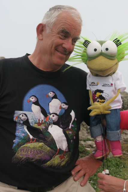 Puffins