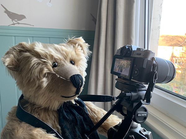 Bertie with a camera at the window.