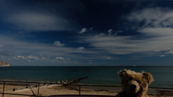 Bertie, with Sandbanks Bay behind.