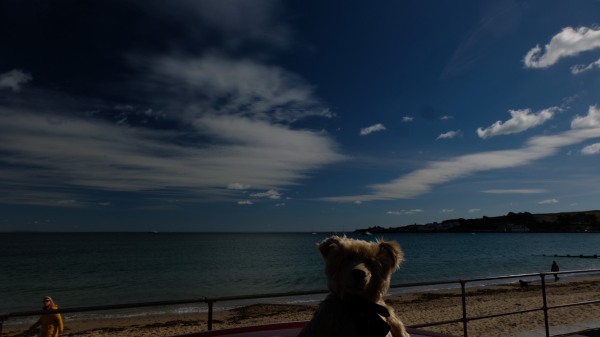 Bertie, with Sandbanks Bay behind.