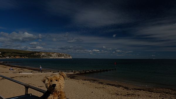 Bertie, with Sandbanks Bay behind.