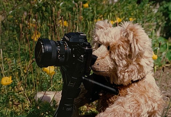 Bertie with Bobby's Minolta X700 camera.