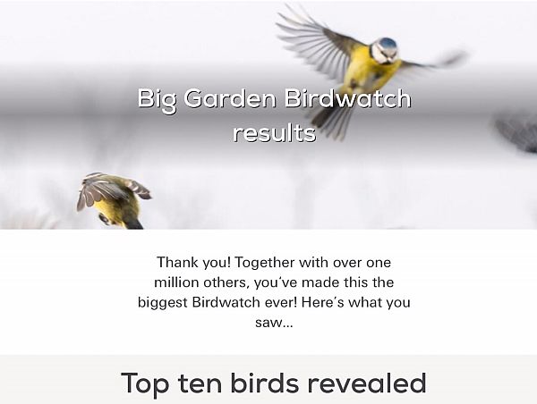 Big Garden Birdwatch Top Ten Results.