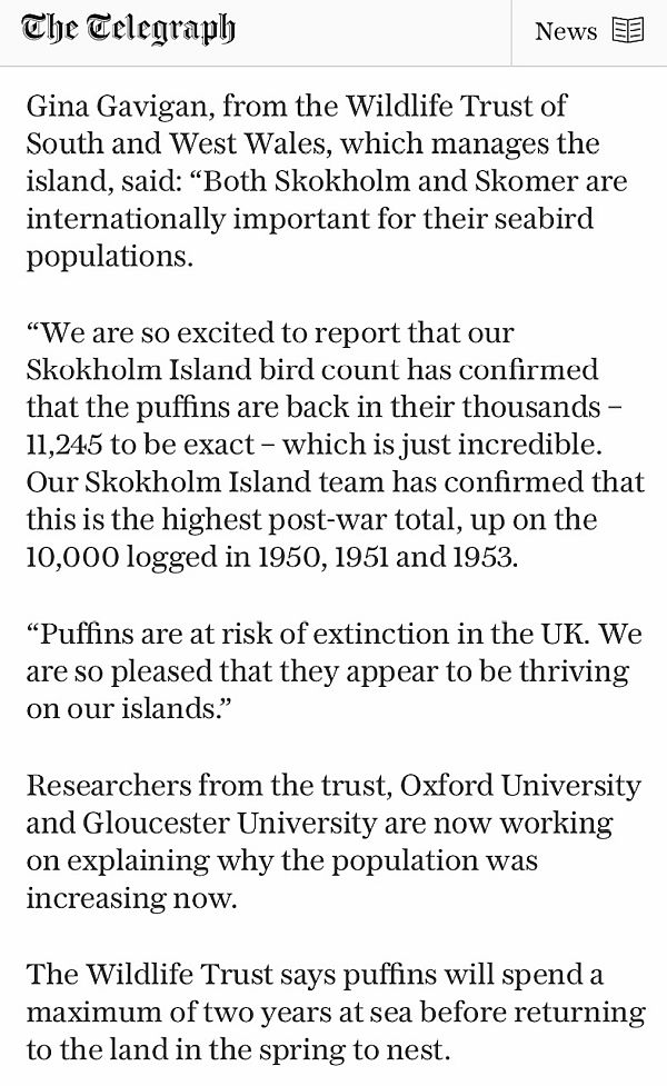 Puffins article in the Telegraph.