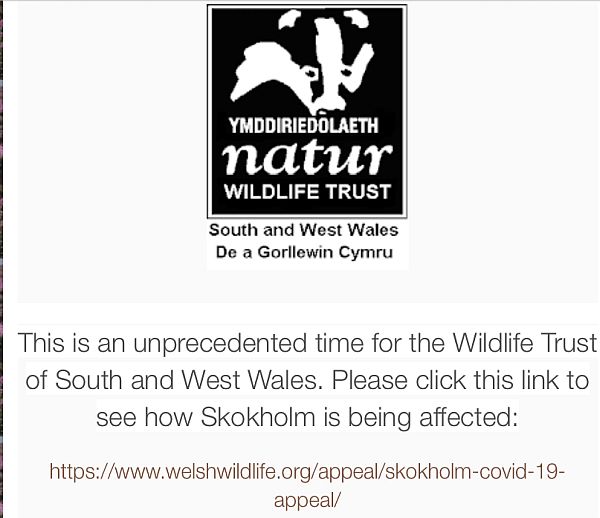 South and West Wales Wildlife Trust