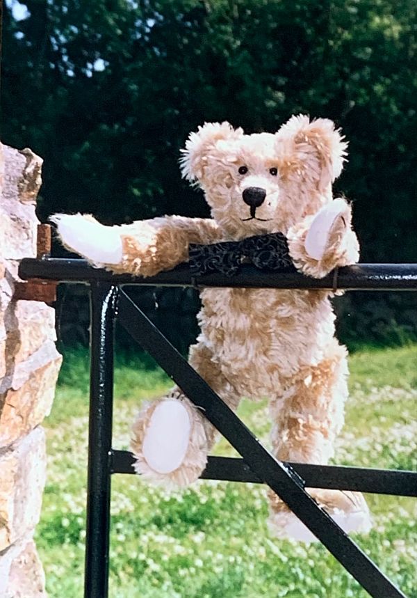 Bertie on a gate.