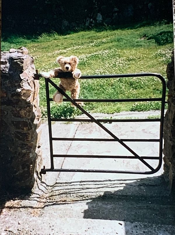 Bertie on a gate.