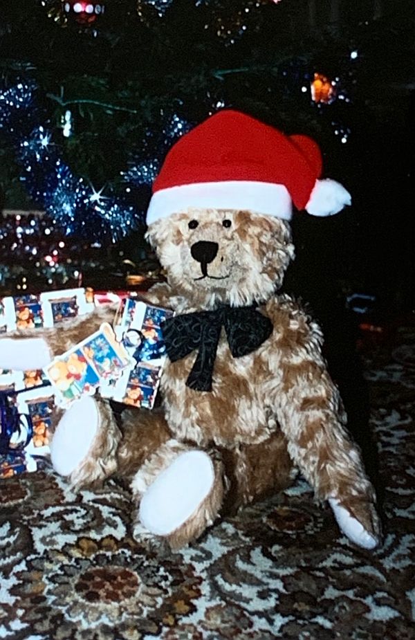 Bertie in a Christmas hat by the tree, surrounded with cards and presents.