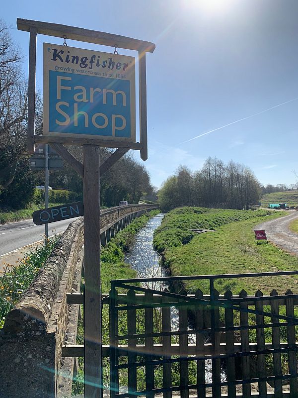 Kingfisher Watercress Farm, Abinger Hammer. Fed by the Tillingbourne.