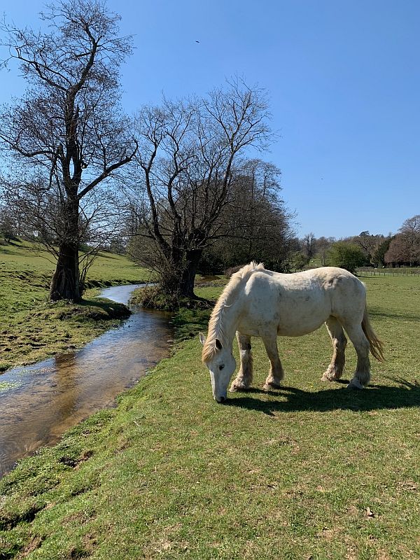 Crossways Farm, Abinger.