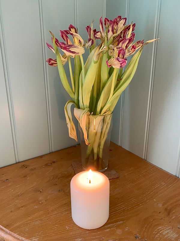 Tulips and a candle lit for Diddley.