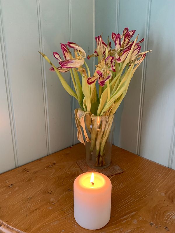 Tulips and a candle lit for Diddley.