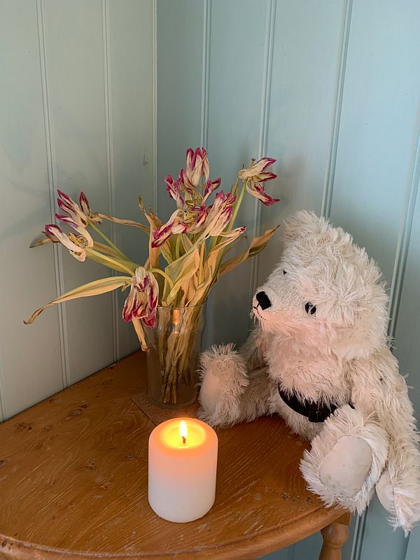 Tulips and a candle lit for Diddley.