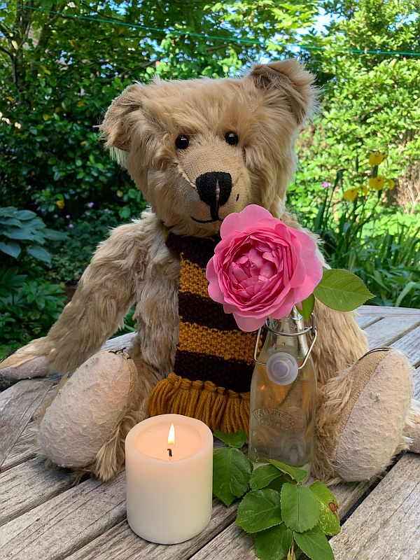 Bertie sat on a wooden picnic table with candle lit for Diddley alongside a Constance Spry Rose in a bottle.