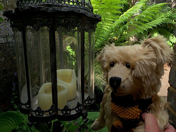 Bertie by a candle lantern in the garden of 31 Fournier Street.
