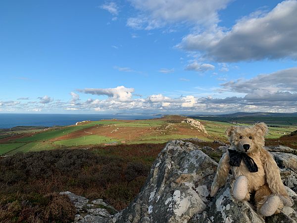 Bertie on top of Garn Fawr.