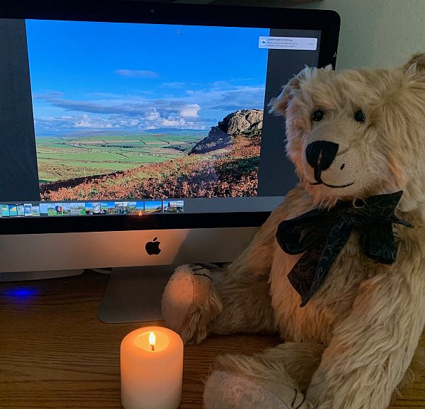 Bertie sat in front of a computer viewing the photographs in this blog, alongside a candle lit for Diddley.