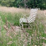 Somewhere to sit far from teh Madding Crowd. A wooden bench surrounded by long grass.
