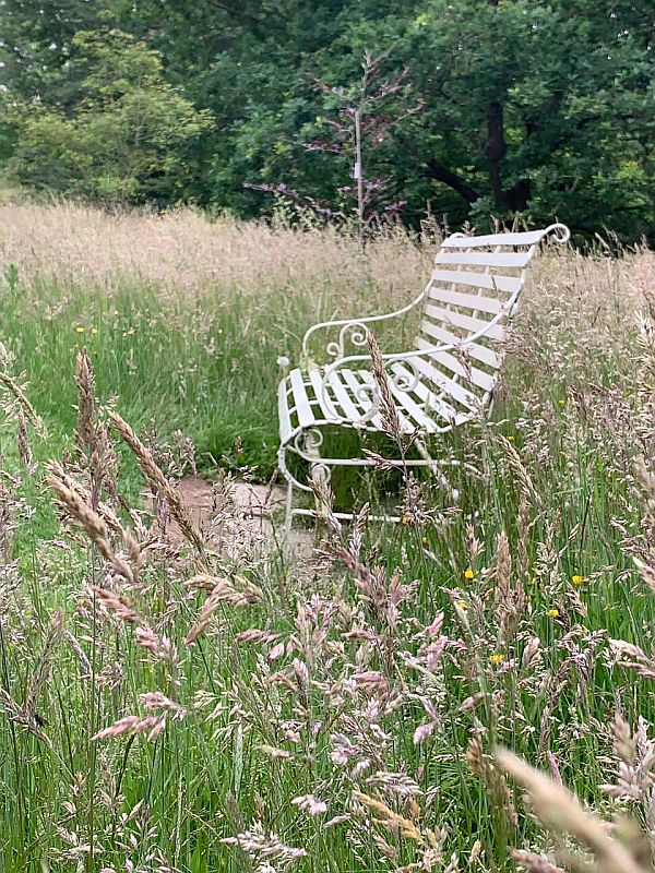 Somewhere to sit far from teh Madding Crowd. A wooden bench surrounded by long grass.