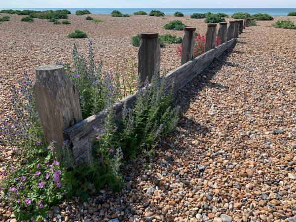 Breakwater at East Preston Beach.