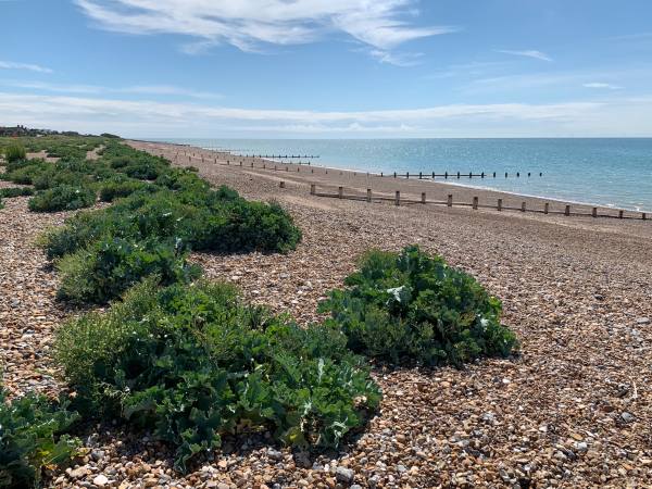 East Preston Beach.