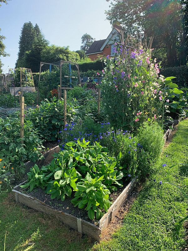 The Allotment.