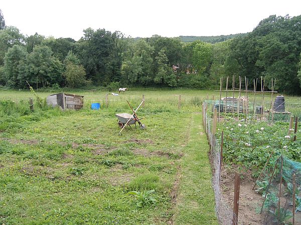 The Allotment in 2008.