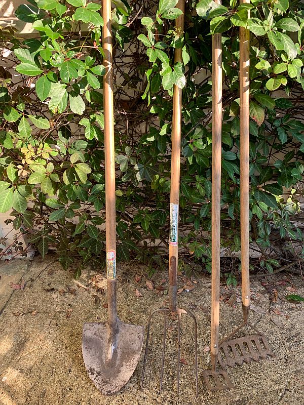 Bobby's new allotment tools.