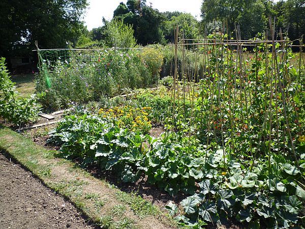 The allotment in 2010.