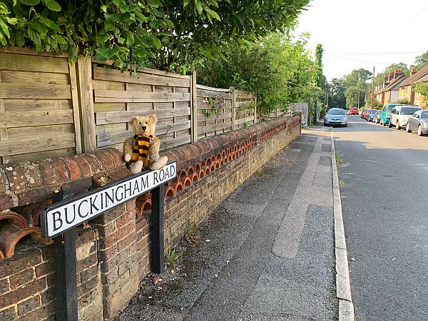 Bertie on the "Buckingham Road" sign.