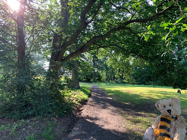 Bertie on the path by the church.