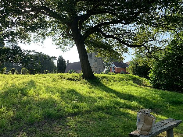 Bertie in his Waitrose bag on a bench by the church.