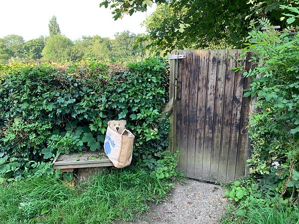 Bertie in his Waitrose bag outside the allotments gate.