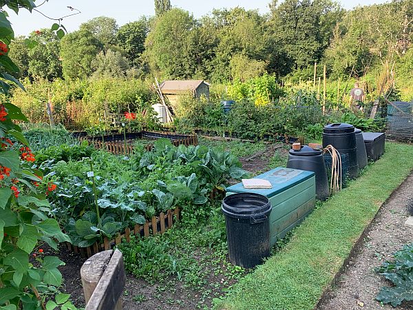 The three "new" allotments.