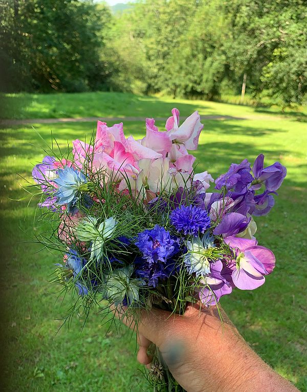 A posy of flowers from the allotment.