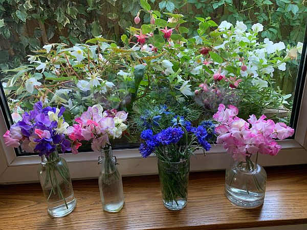 The flowers all in vases at Laurel Cottage.