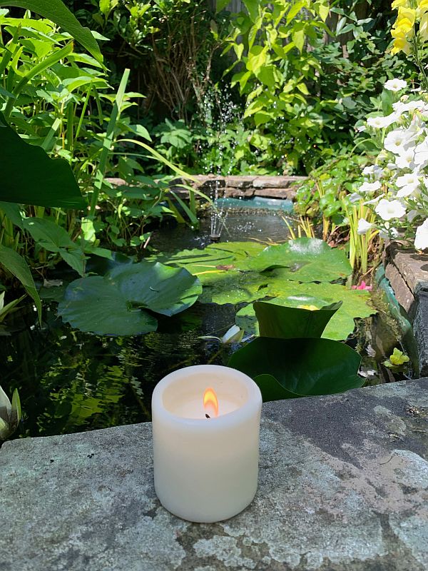 A Candle lit for Diddley by a Lily pond.