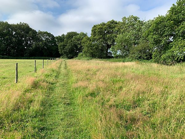 View of a grass path alongside a field. A wire fence to the left.
