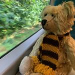 Bertie sat on the table in a Southern train looking out the window.