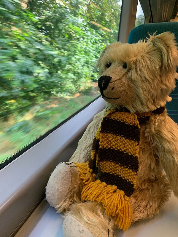 Bertie sat on the table in a Southern train looking out the window.