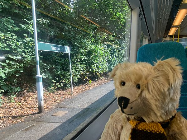 Bertie sat on the table in a Southern train looking out the window at Sutton station.