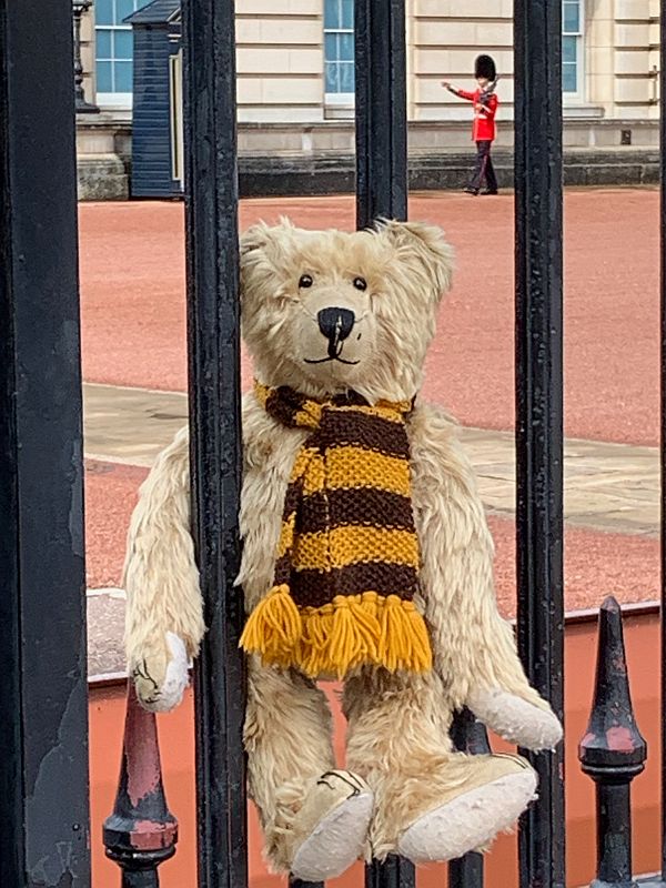 Close up of Bertie on the gate wondering if they are Changing the Guard.