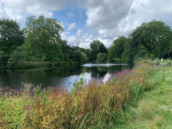 Another view of the lake surrounded by big trees and wild flowers.